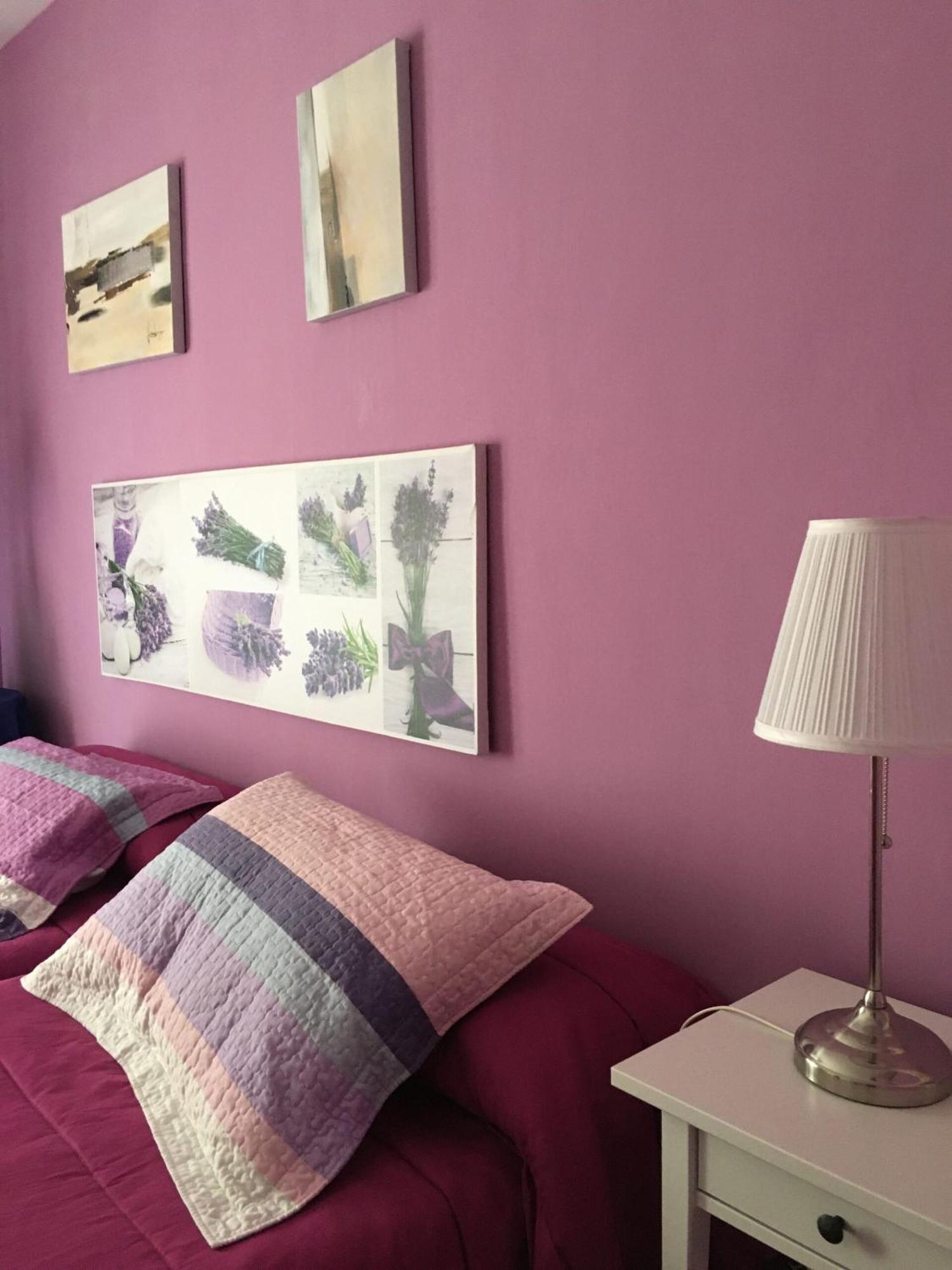 Violetas Casa rural *