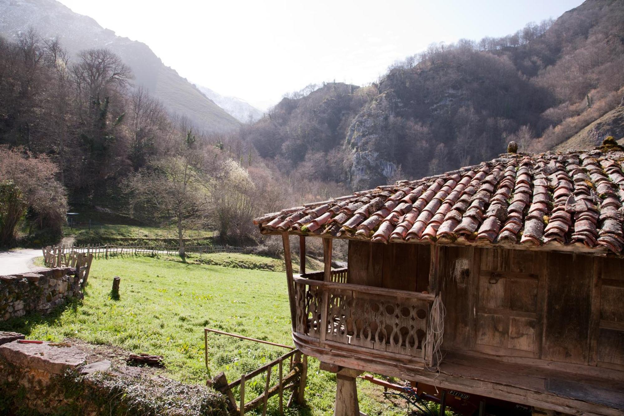 Apartment Valdecarzana Senda Del Oso San Martin (Asturias)