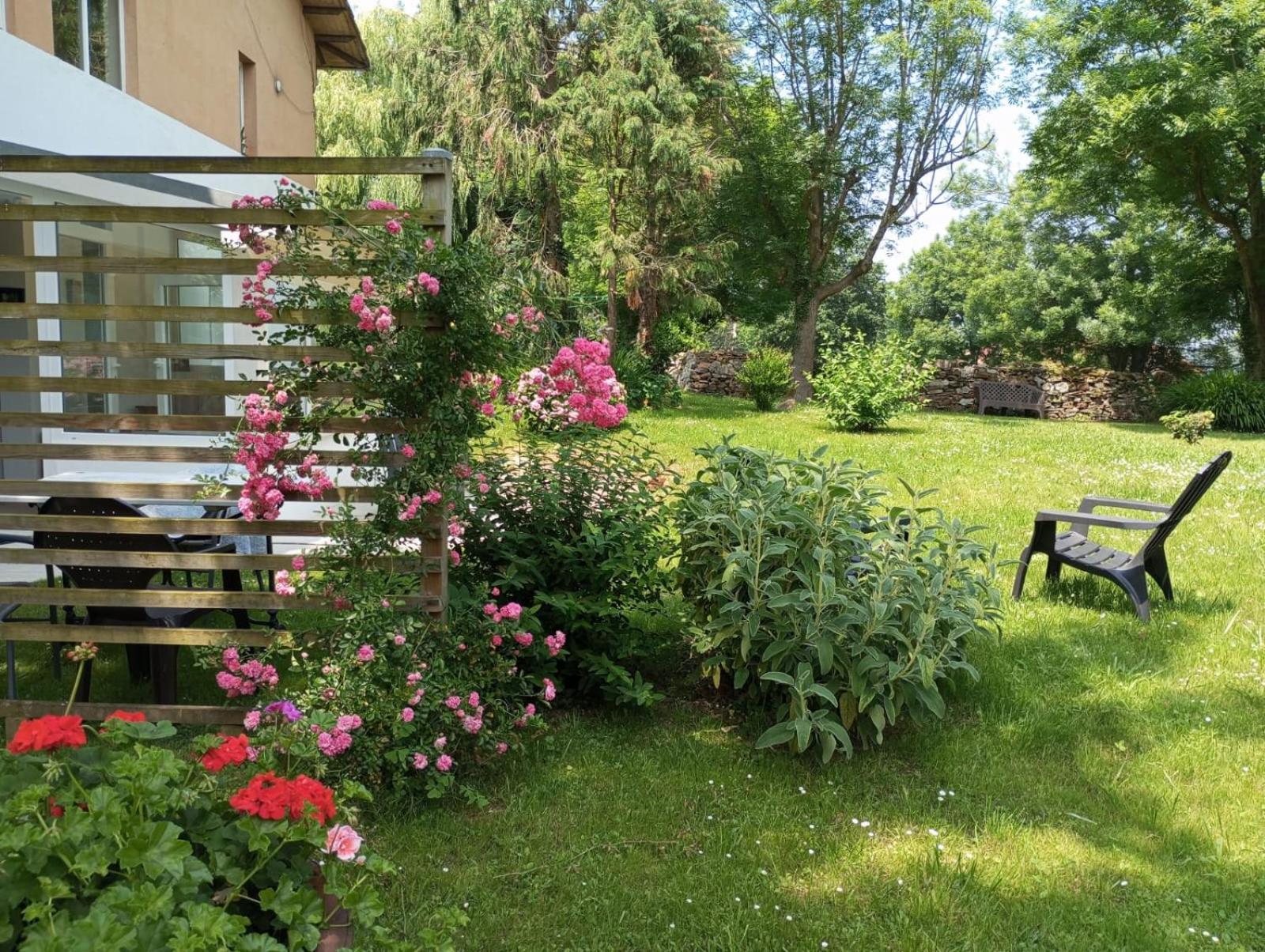 Apartamento La Ventanita Del Campo