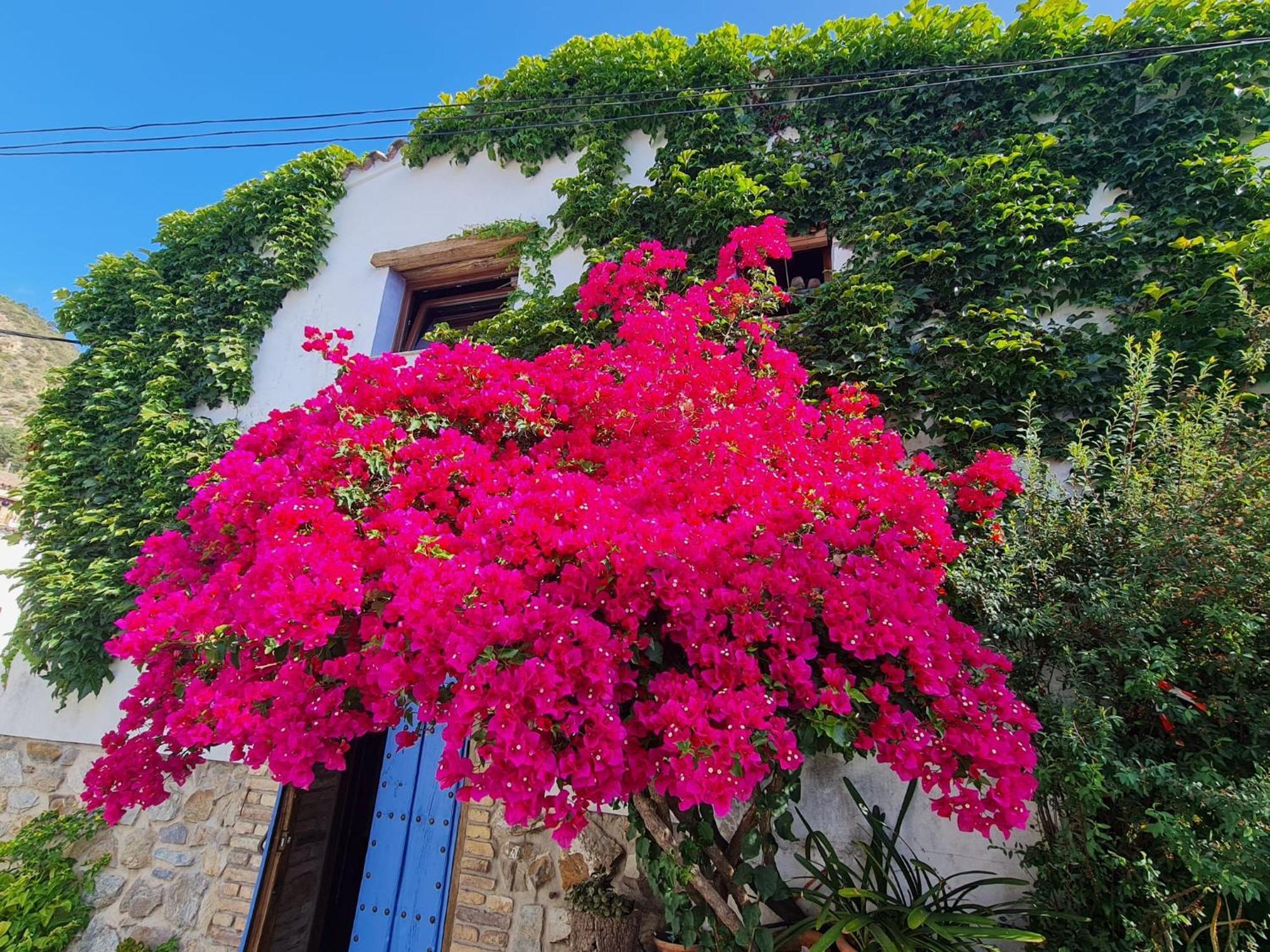 Casa La Yedra By Casaturistica Holiday home *