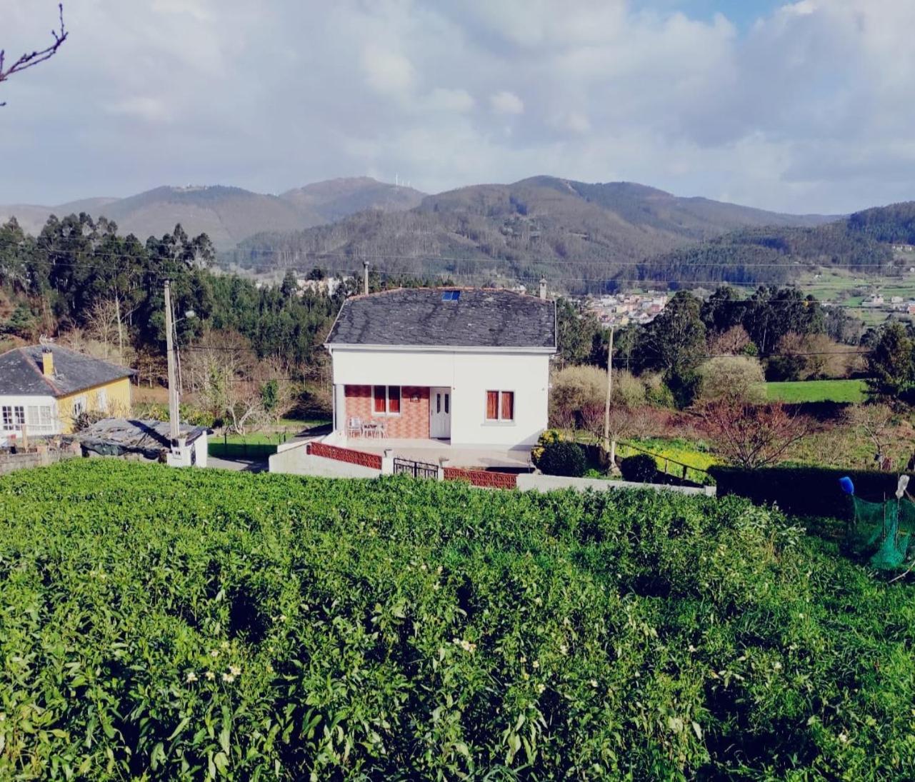 Casa Familiar Con Privada Сasa de vacaciones Viveiro