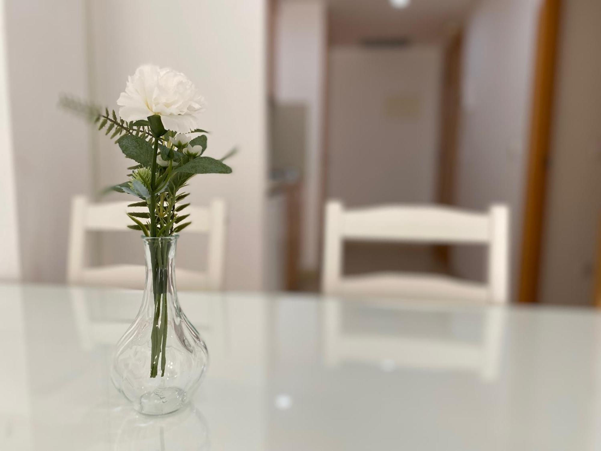 Brava Apartamento