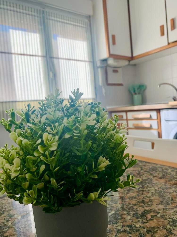 Apartamento 120a Amplio 3 Cerca De La Playa Con Garaje Gijón
