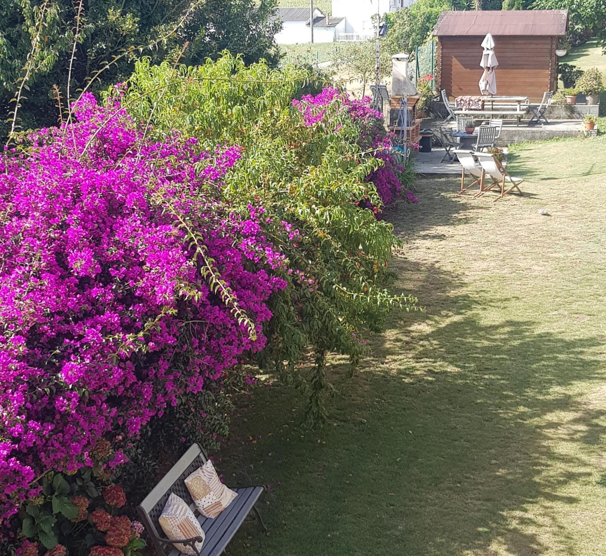 Rurales Casa Pachona