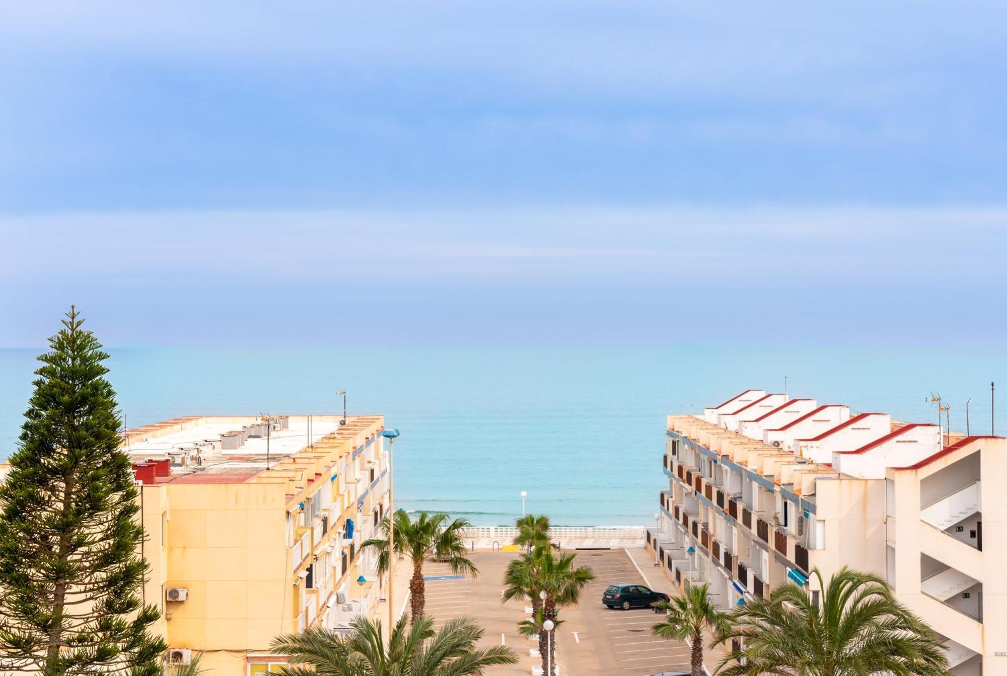 Estrella De Mar By Ole *