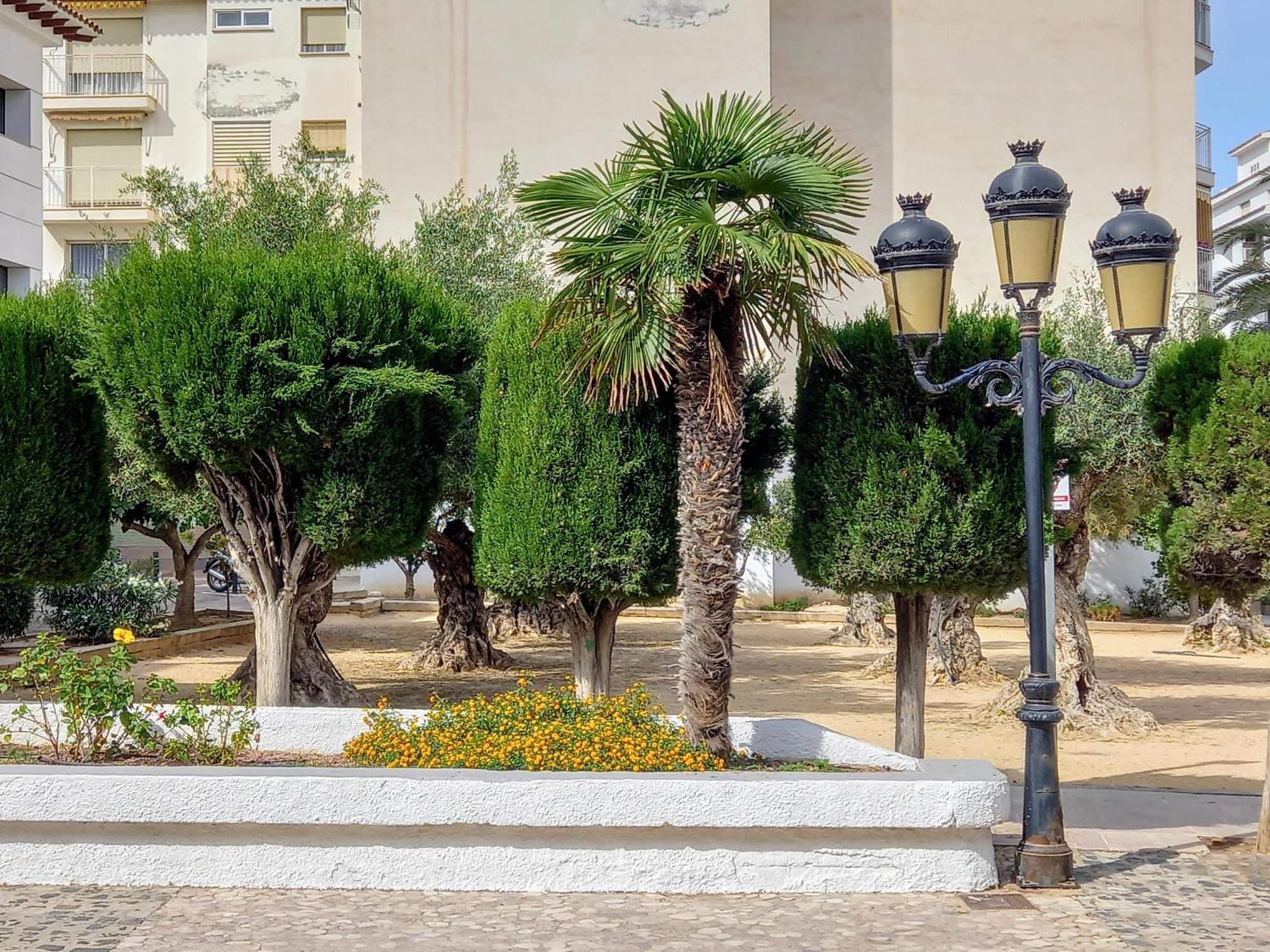 Olivos