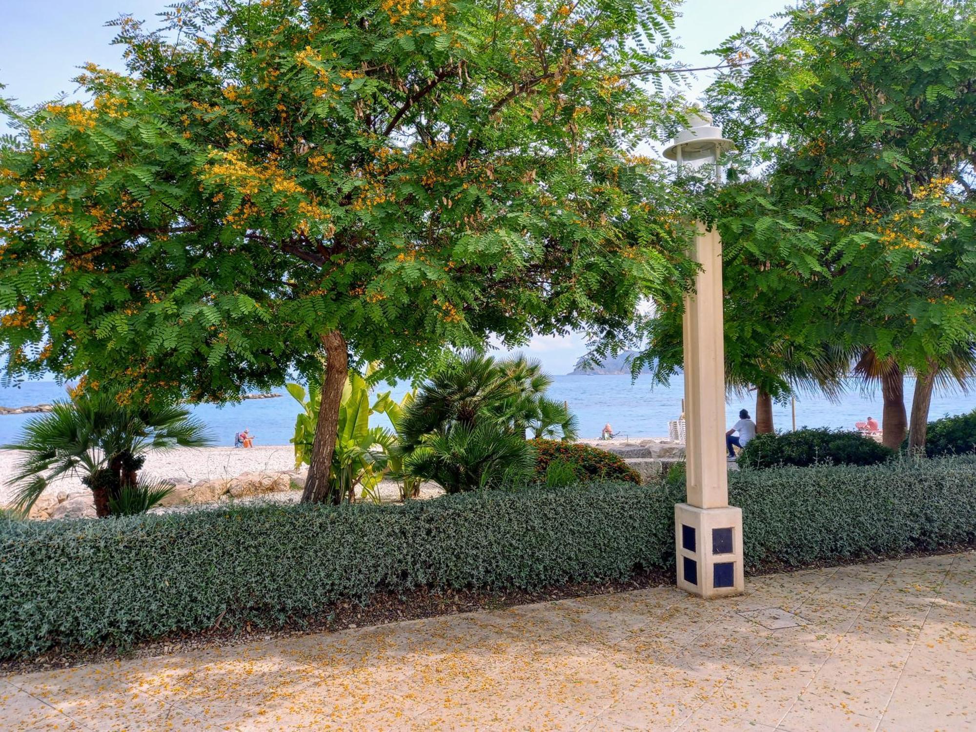 Olivos Сasa de vacaciones