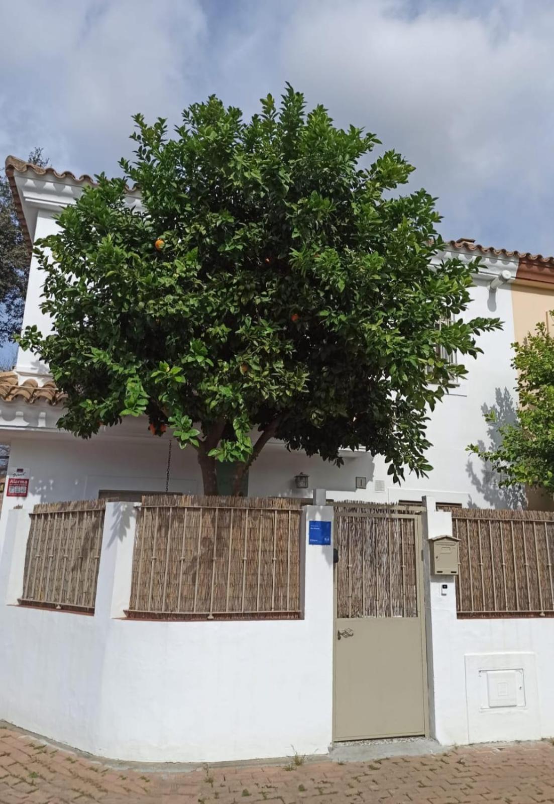 Nao Victoria Apartamento Gelves