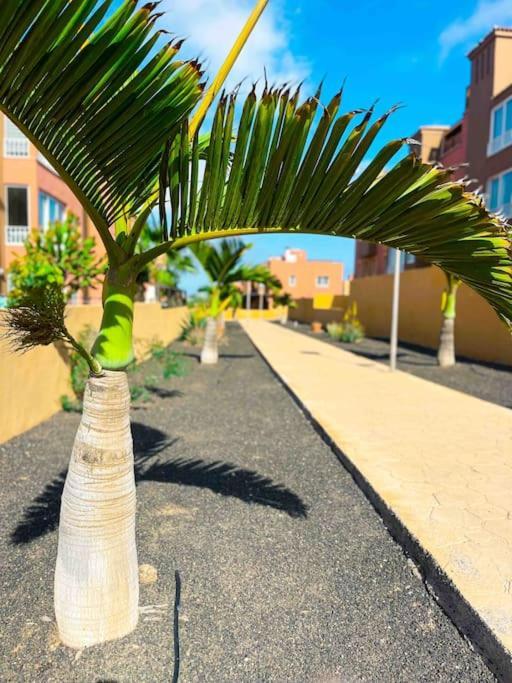 Apartamento Casa Bamboo Luminoso Y Espacioso, Piscina *