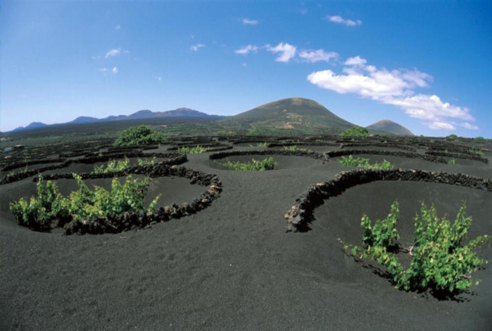 Bluebay Lanzarote * Costa Teguise