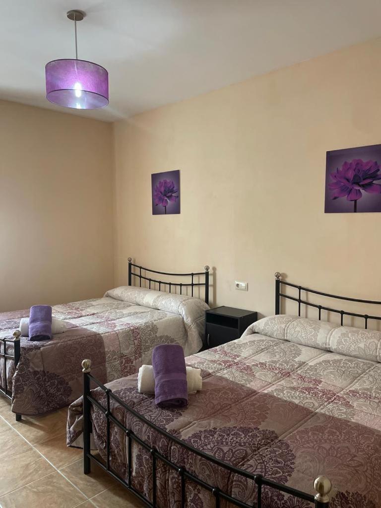 Casa Rural Puente Del Segura * Elche de la Sierra