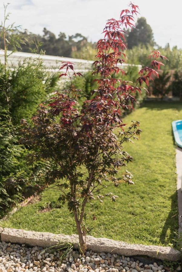 Сasa de vacaciones Casa Calima *