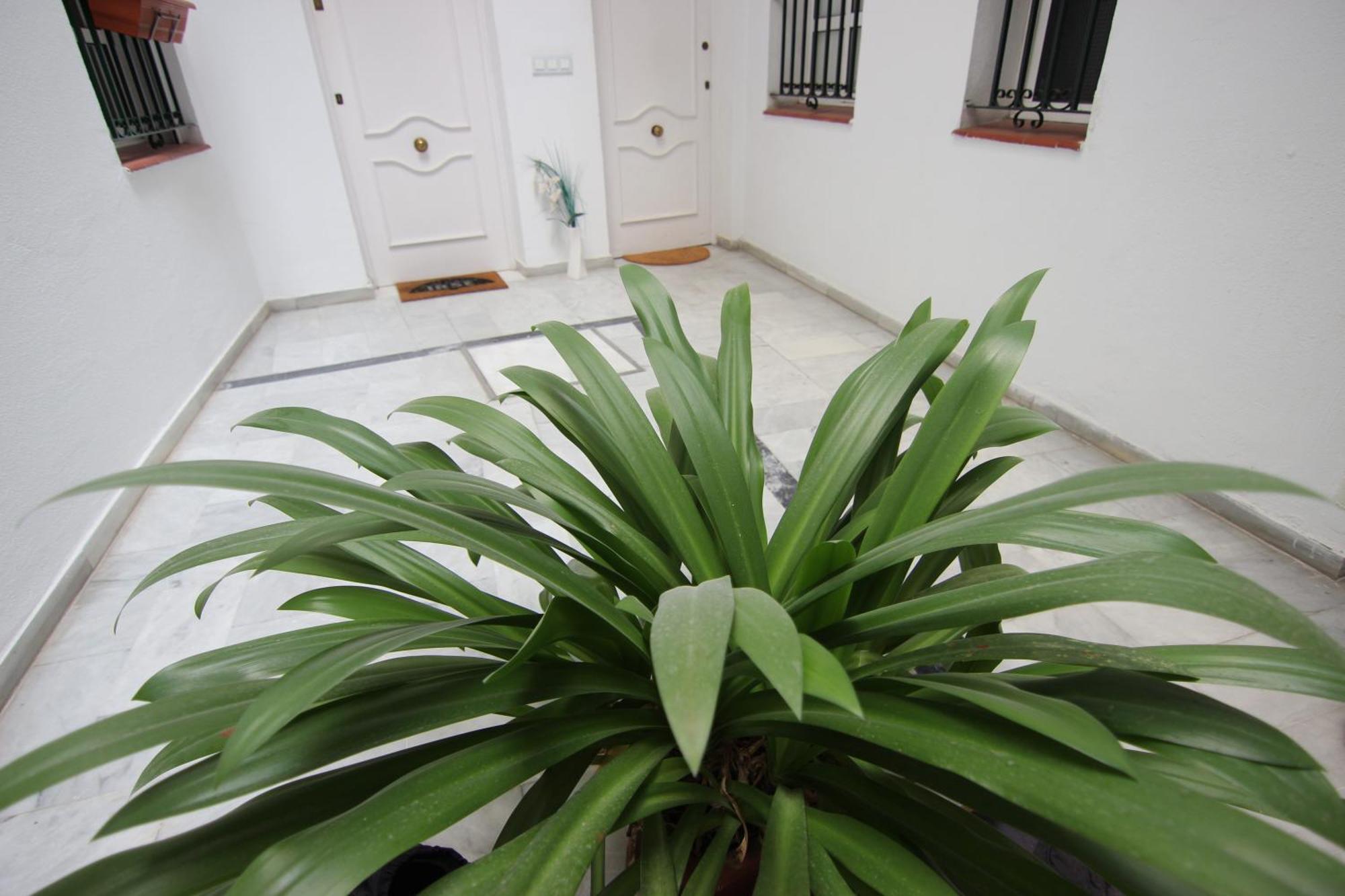 Corazón De Triana Apartamento *