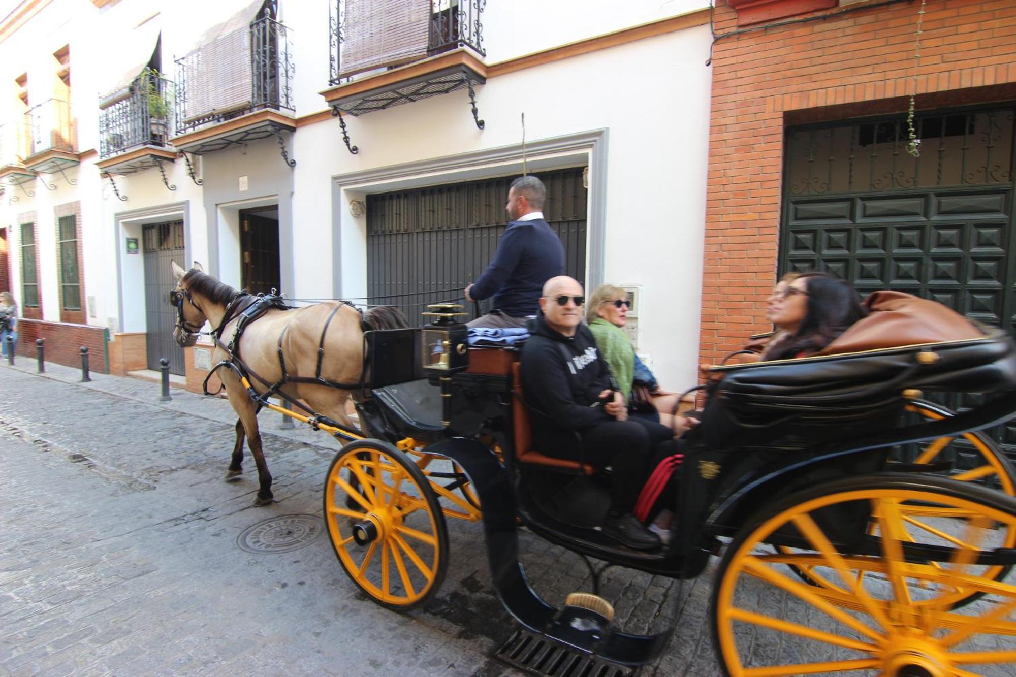Apartamento Corazón De Triana *
