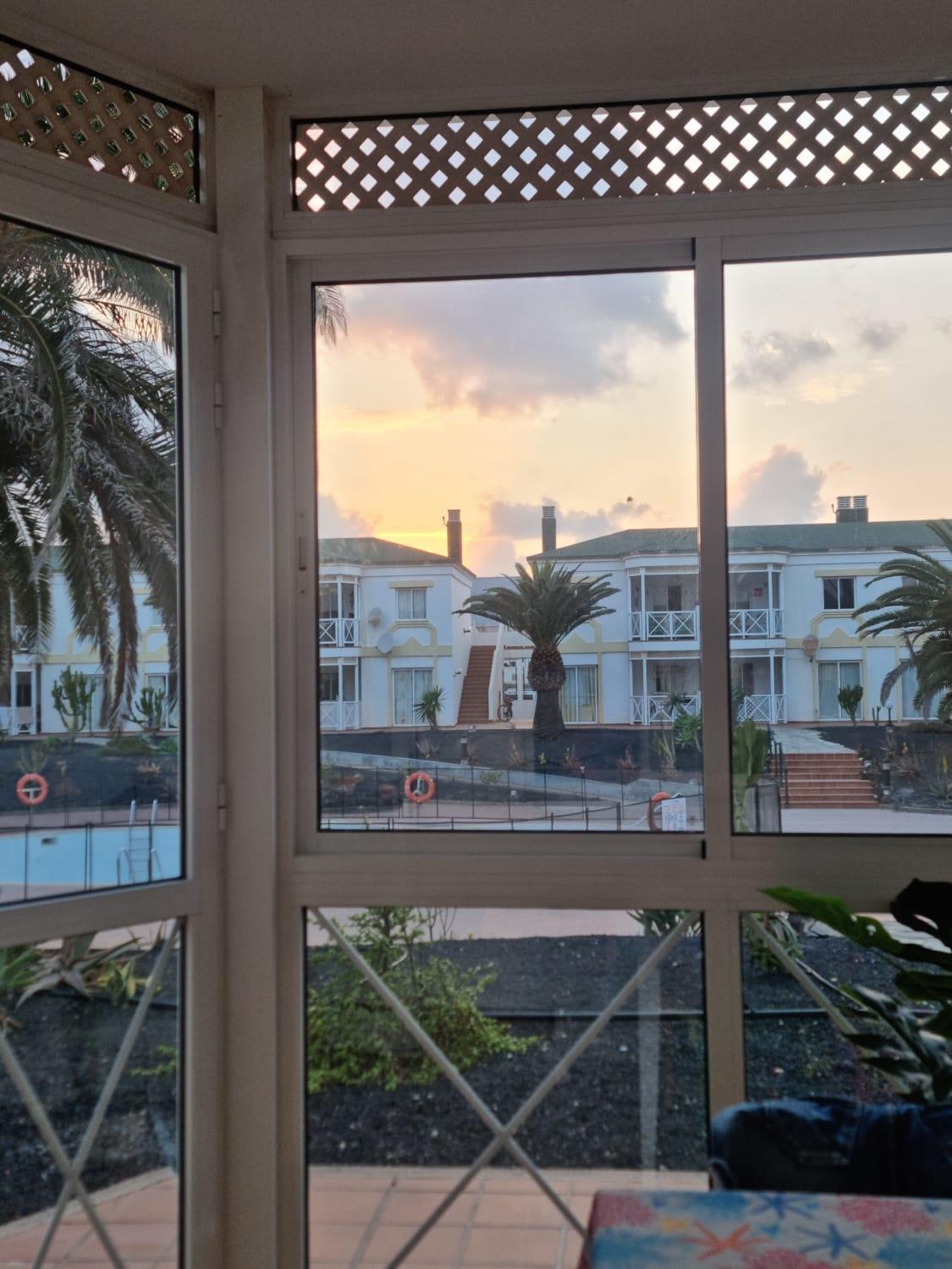 Piccola Oasi Corralejo