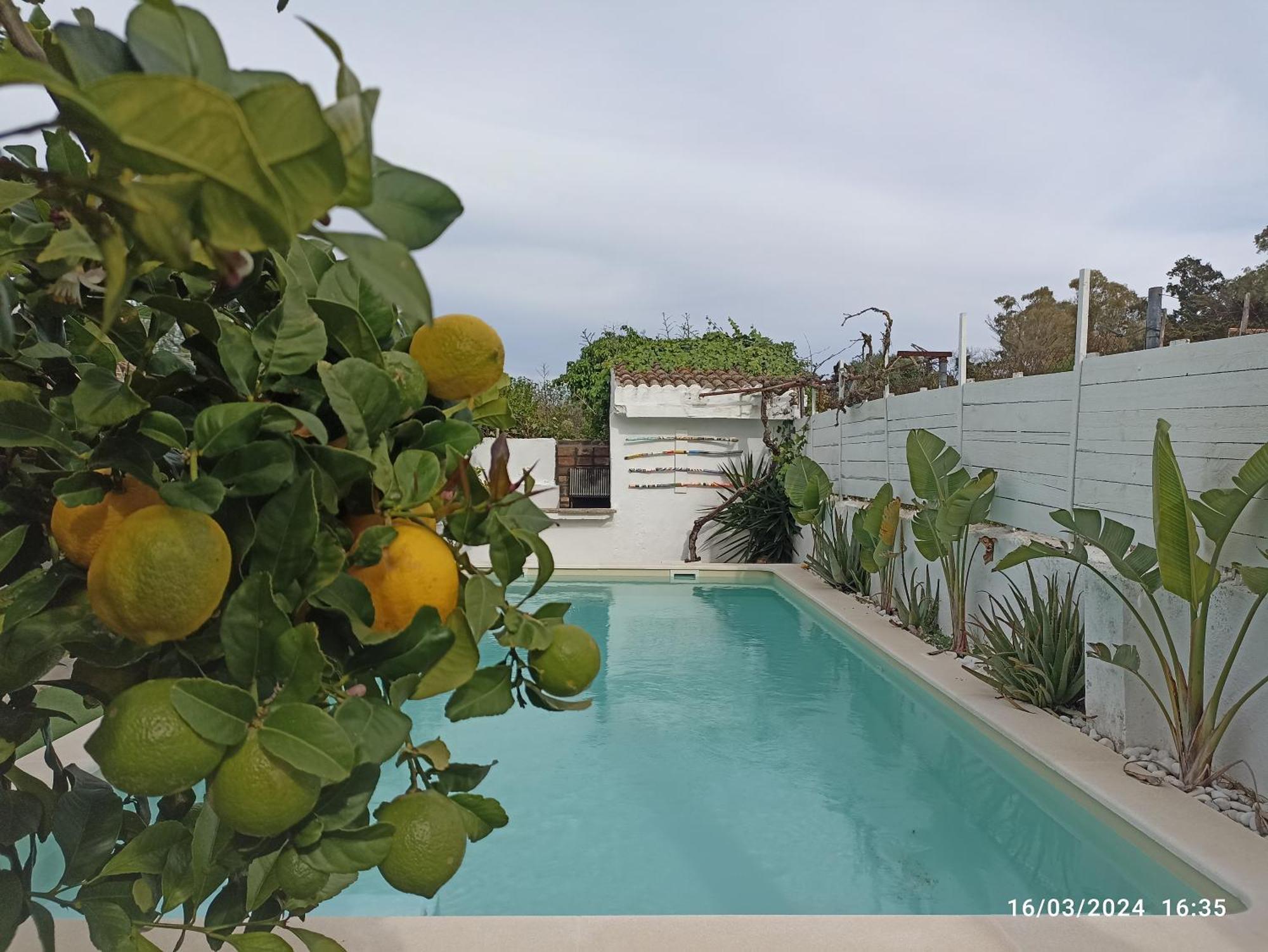 Casa, Piscina, Jacuzzi, Garaje, Barbacoa. Holiday home *
