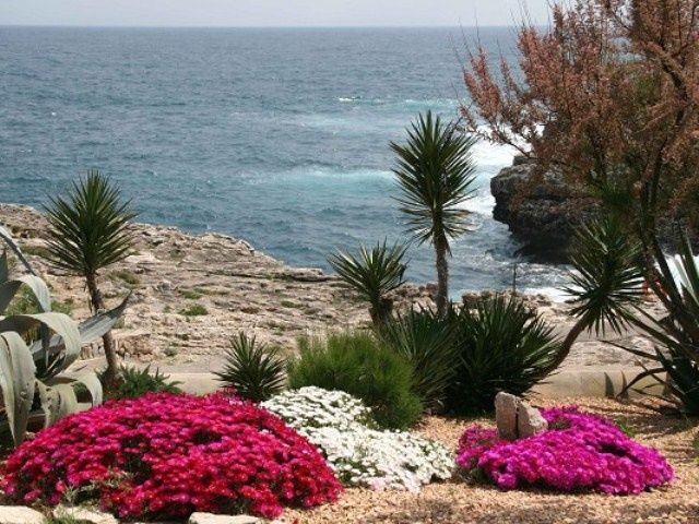 Parque Mar Resort