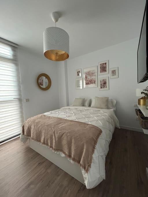 Apartment Fisco