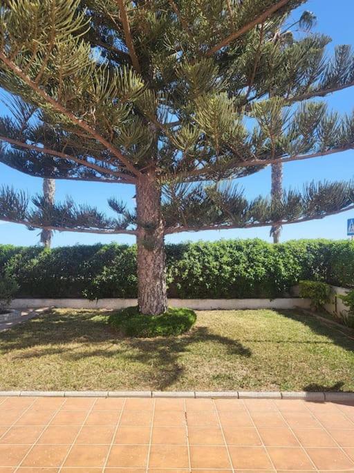 Berja33 Holiday home