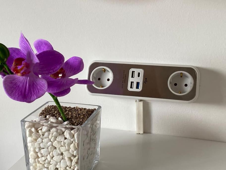 Apartamento Atico Boreal