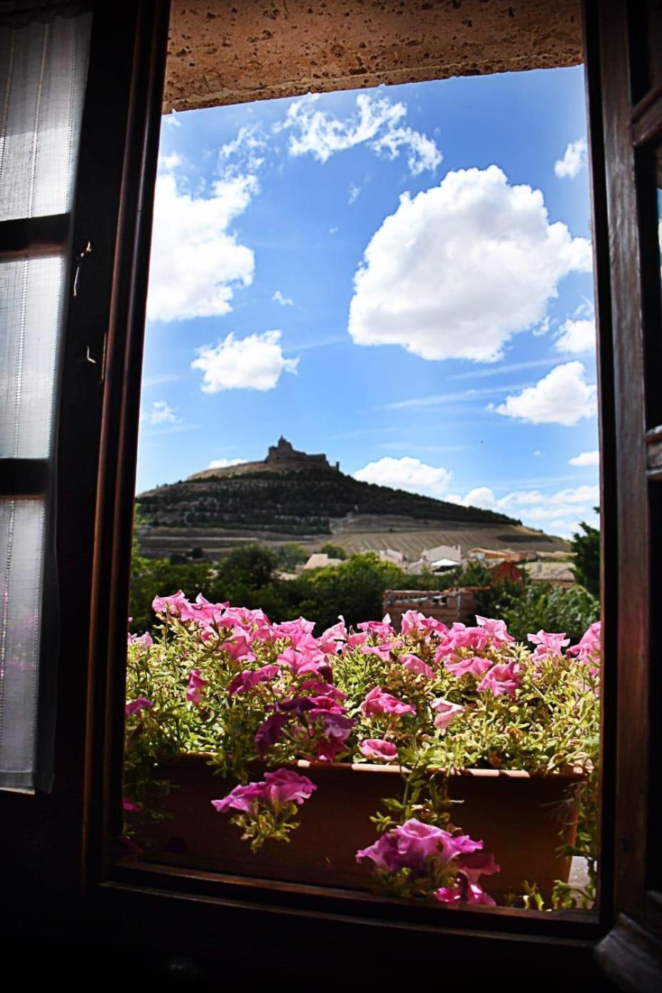 El Manzano Pensión Castrojeriz