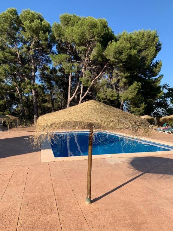 Apartment Masia De San Juan - Castillo Con Piscina En Plena Sierra Calderona *