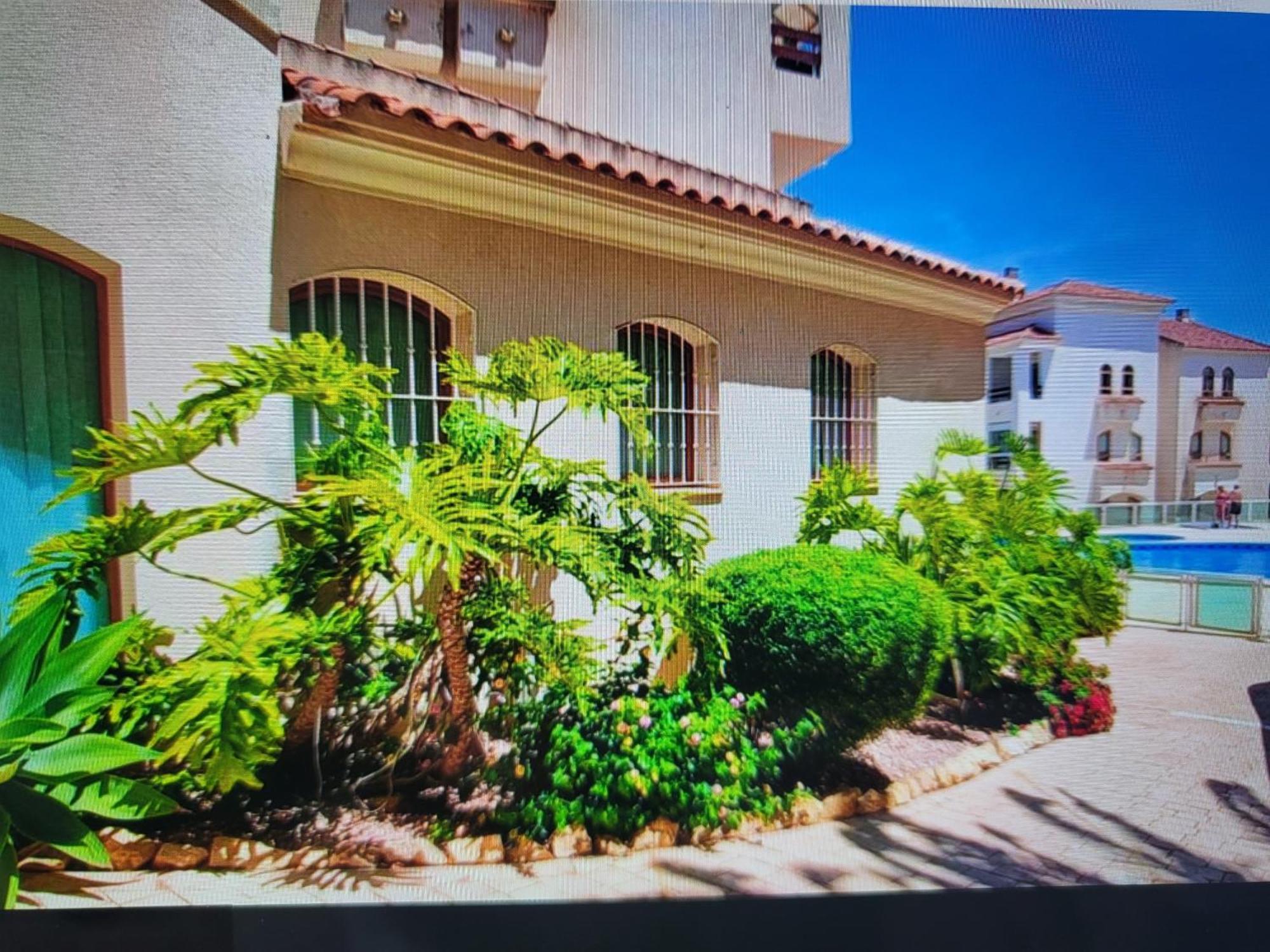 Apartamento Font Rotja Albir *