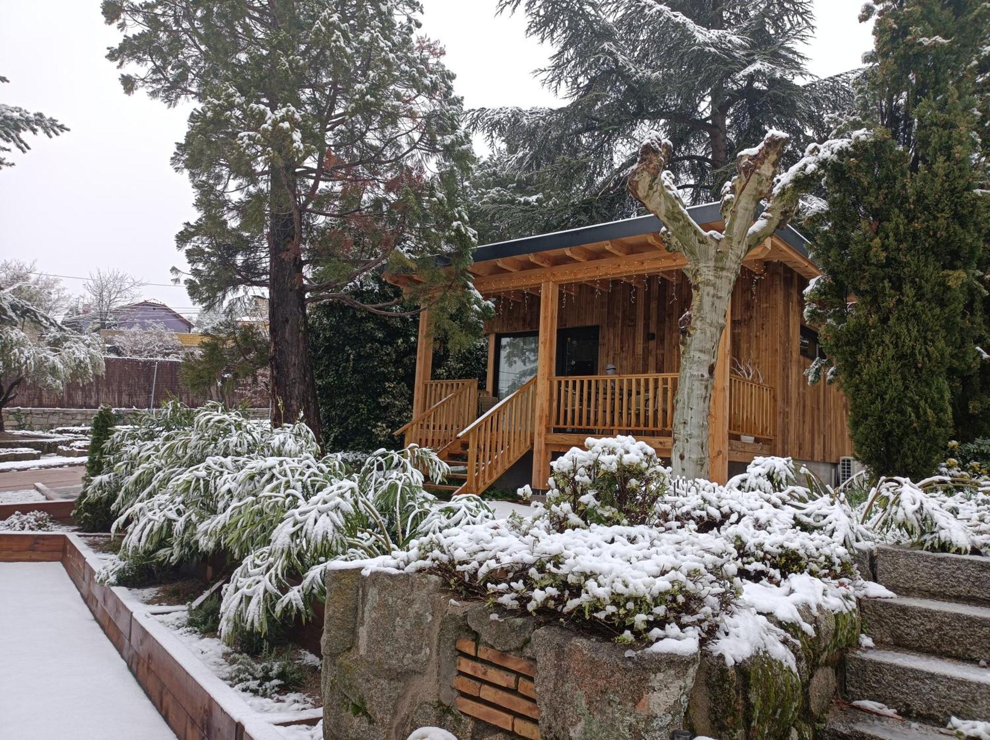 Jardin Secuoyas Holiday home *