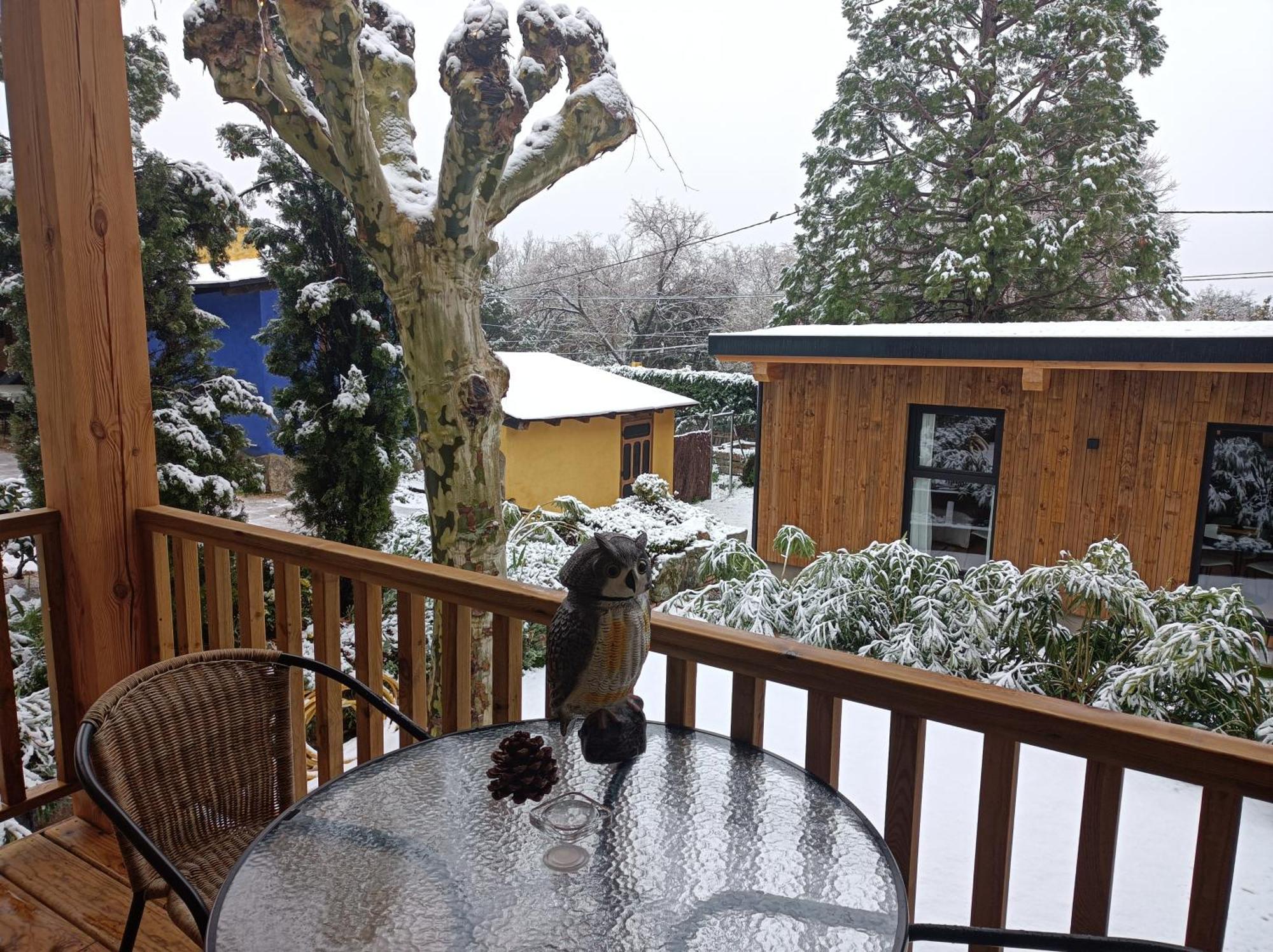 Holiday home Jardin Secuoyas