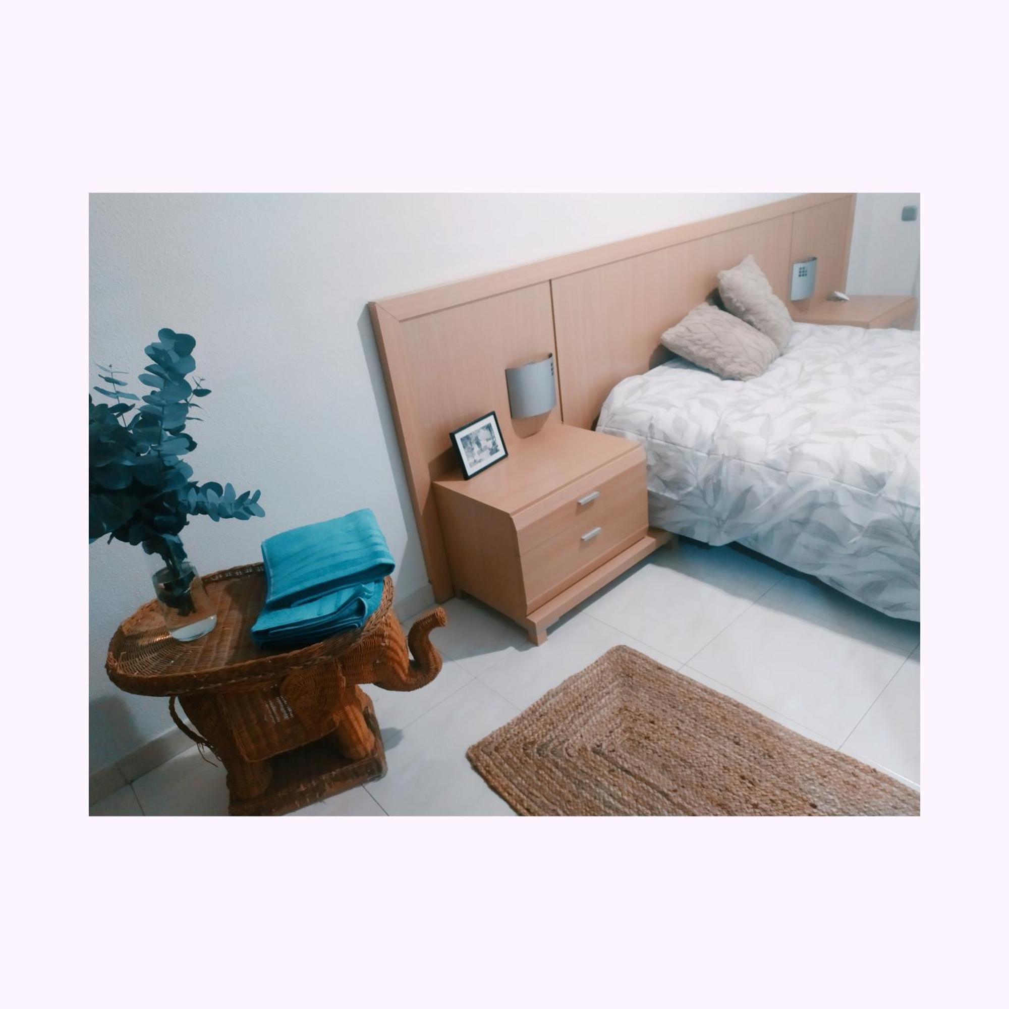 Tximeleta Apartamento