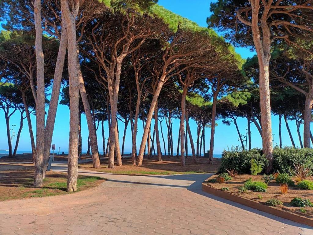 Apartamento Completo Delante De La Playa