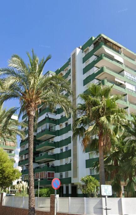 Els Terrers Sun Flat *
