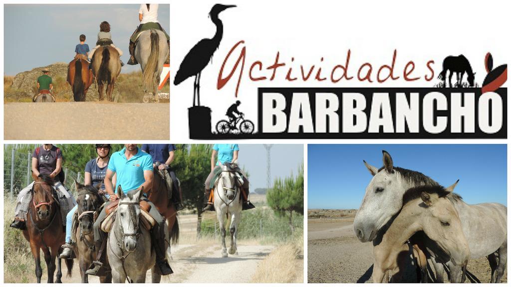 Barbancho Apartamento Caces