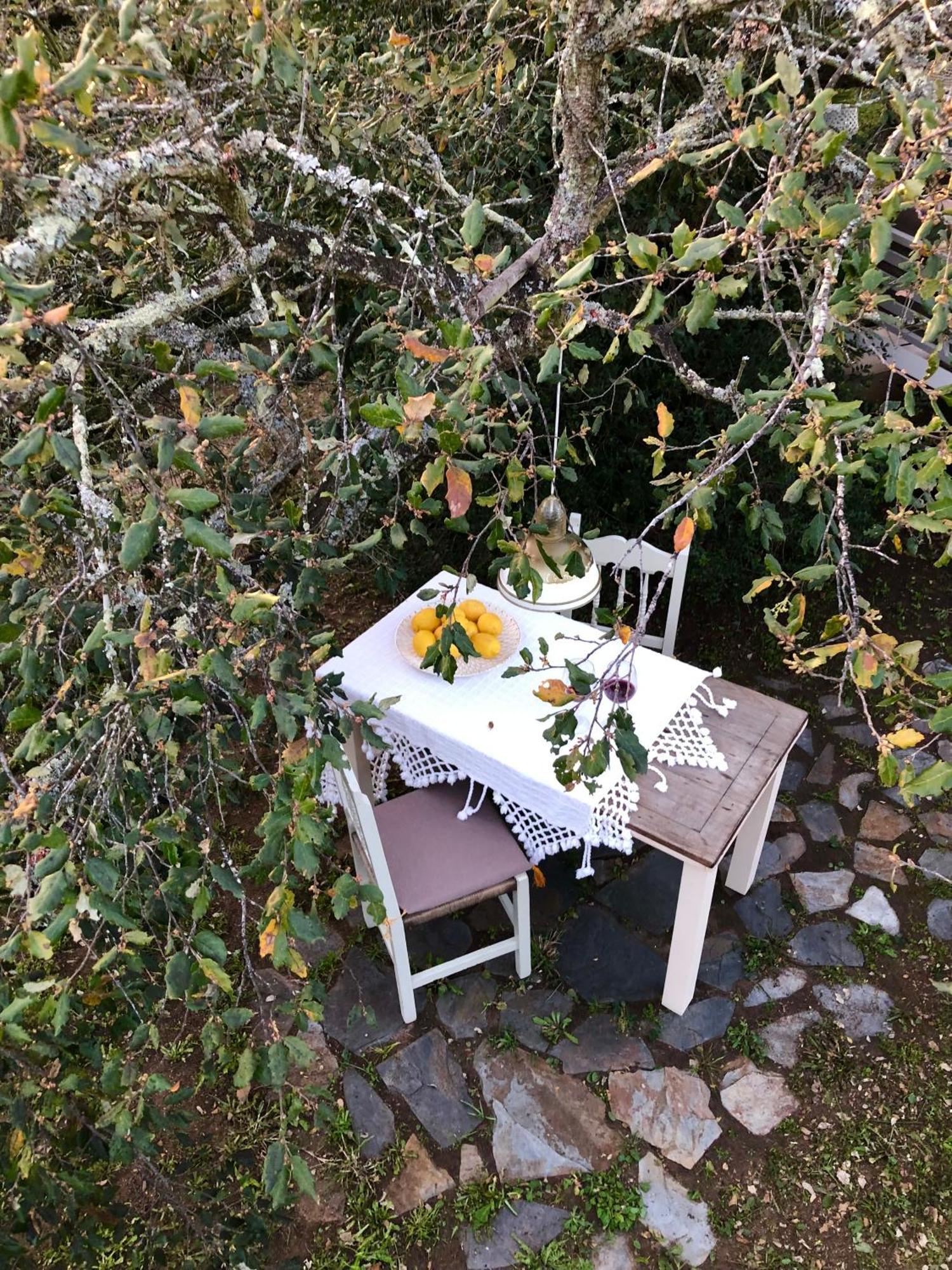 Glamping - La Casa Del Piano Campo de lujo