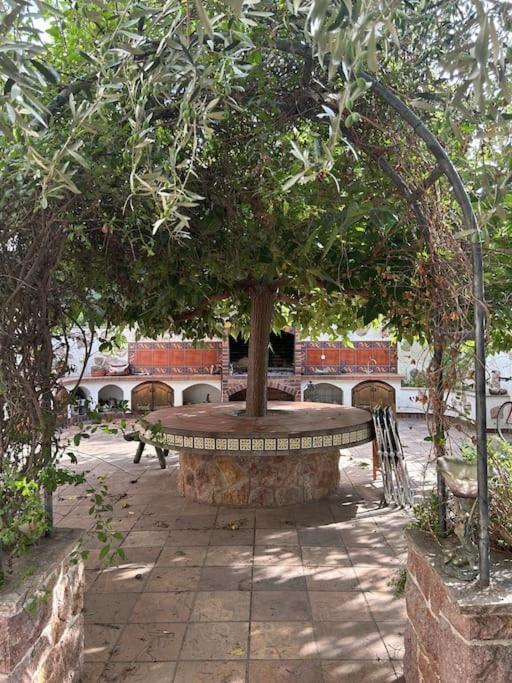 Casa Mandarina