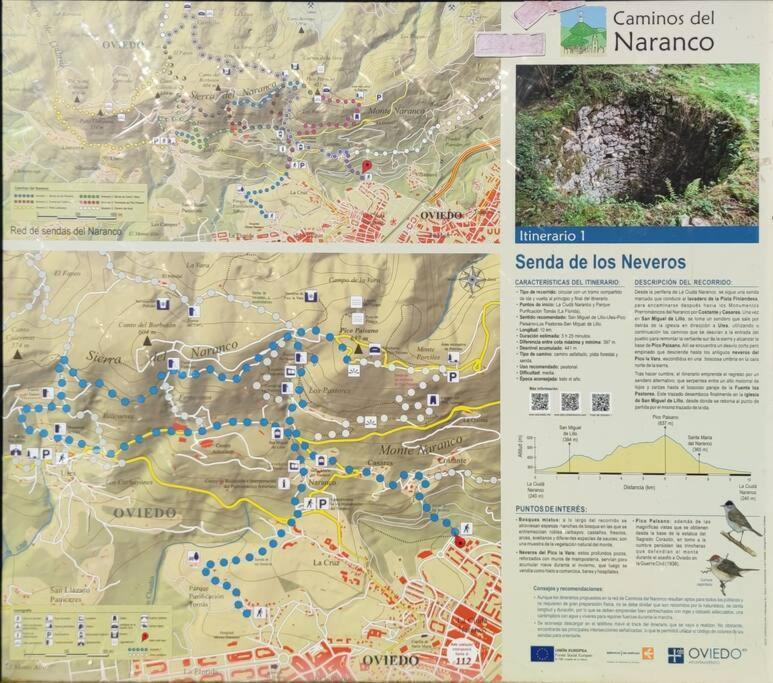 Atico Mirador Del Naranco, Parking Gratuito, Wifi, Zona Residencial Apartamento