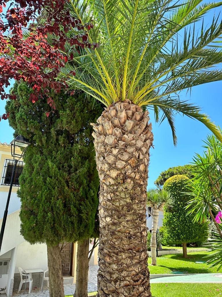 Casa De Emilia Vera Coast