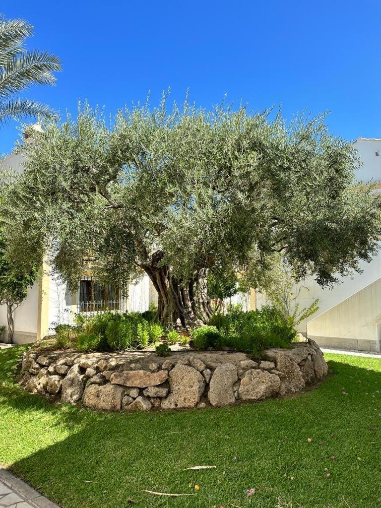 Casa De Emilia Vera Coast