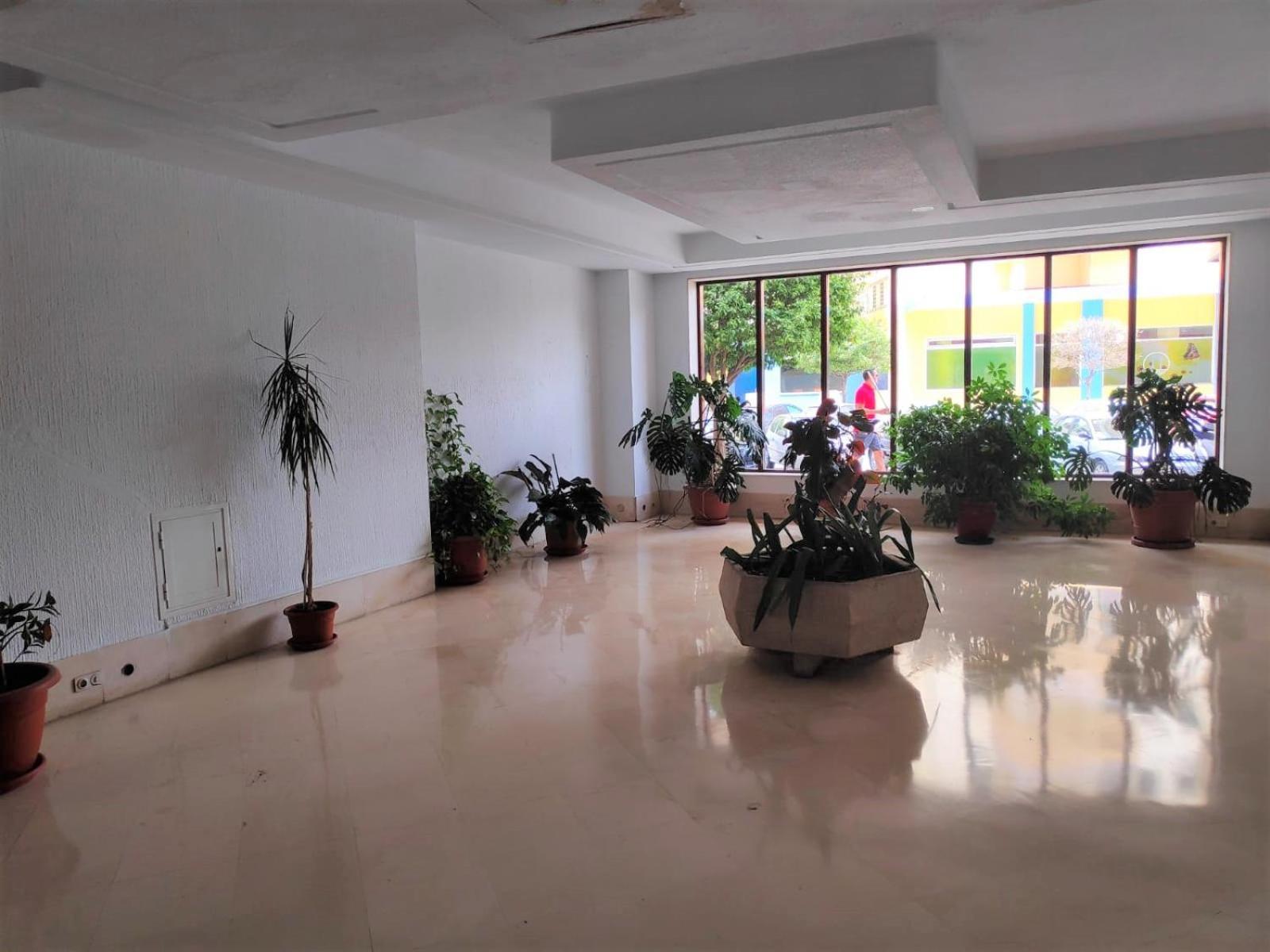 Ver7 - Estudio, Wifi, Fire Stick Amazon, Terraza, Vistas Al Mar, Piscina Apartment *