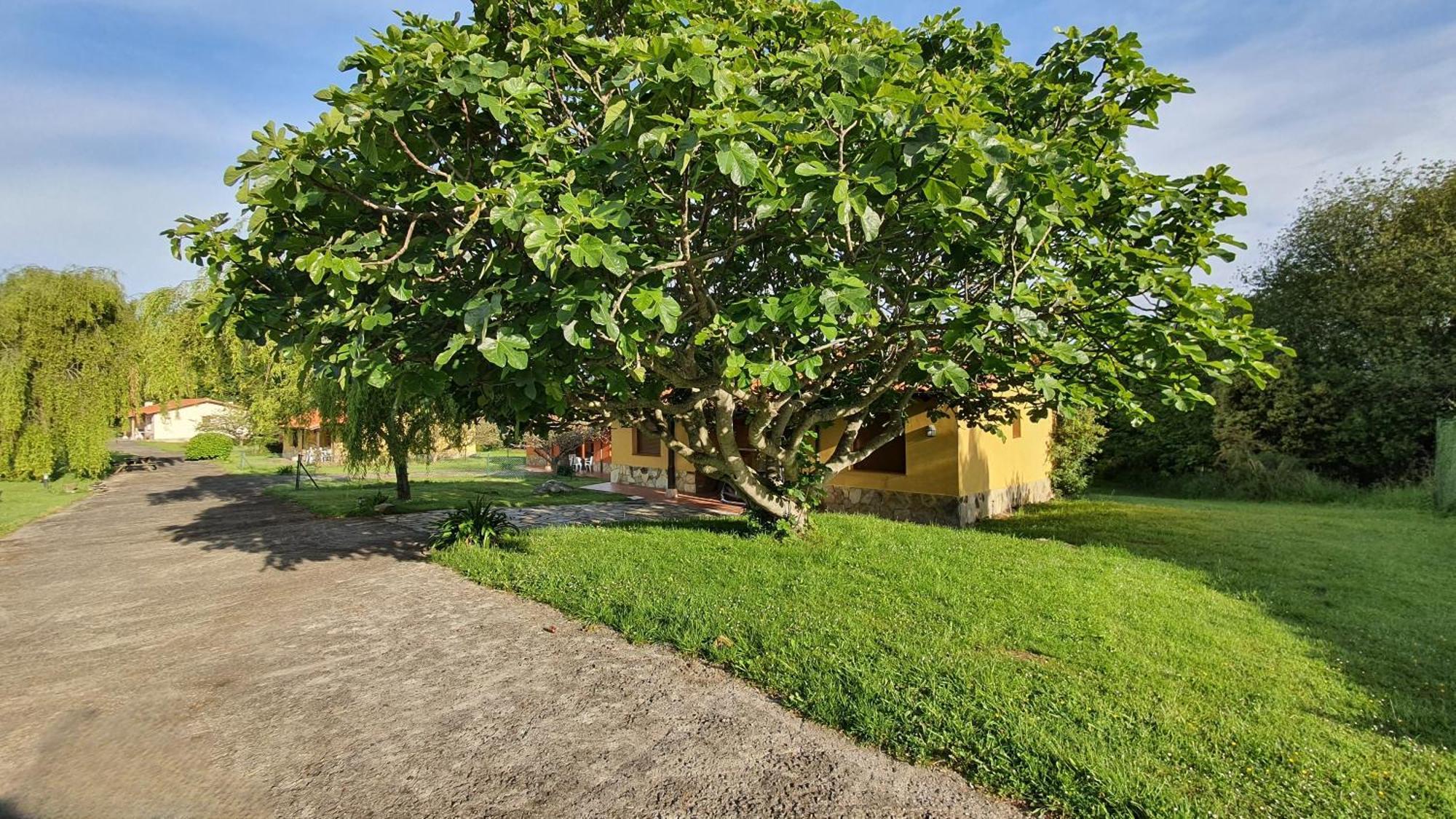 Сasa de vacaciones Complejo Rural El Mirador De Ovio *