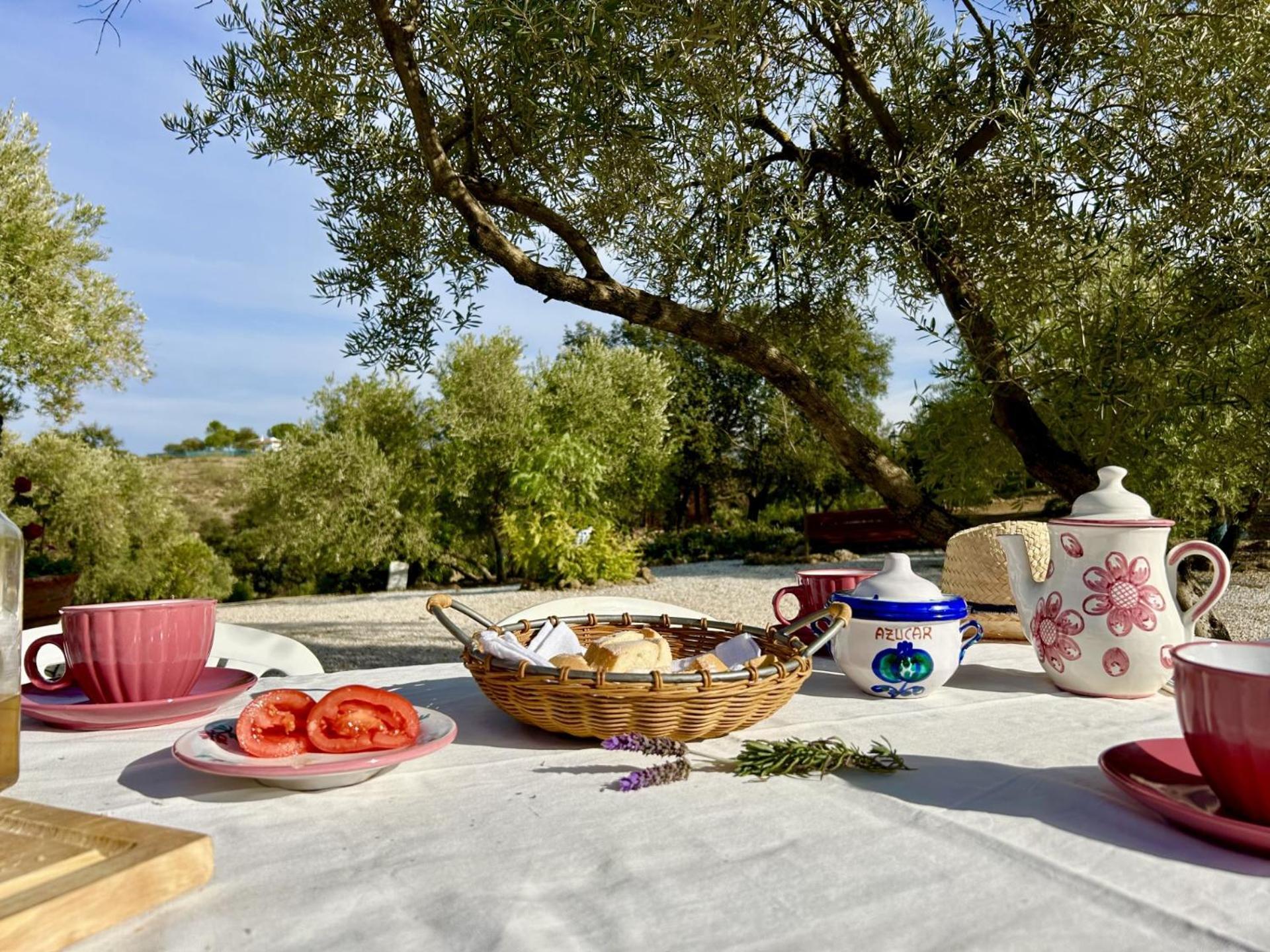 Tradicional Andaluza Con Piscina Privada