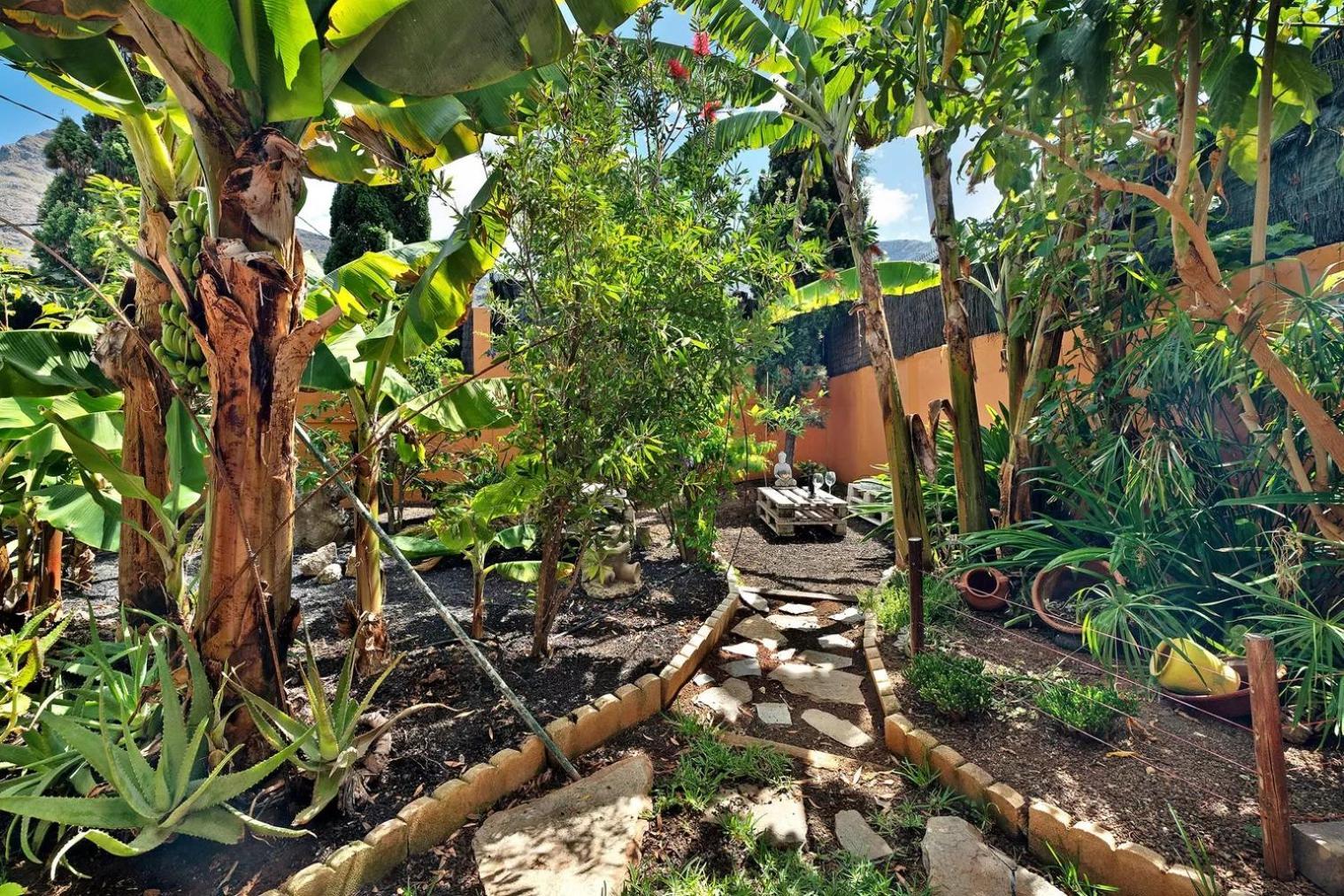 Energy Garden *