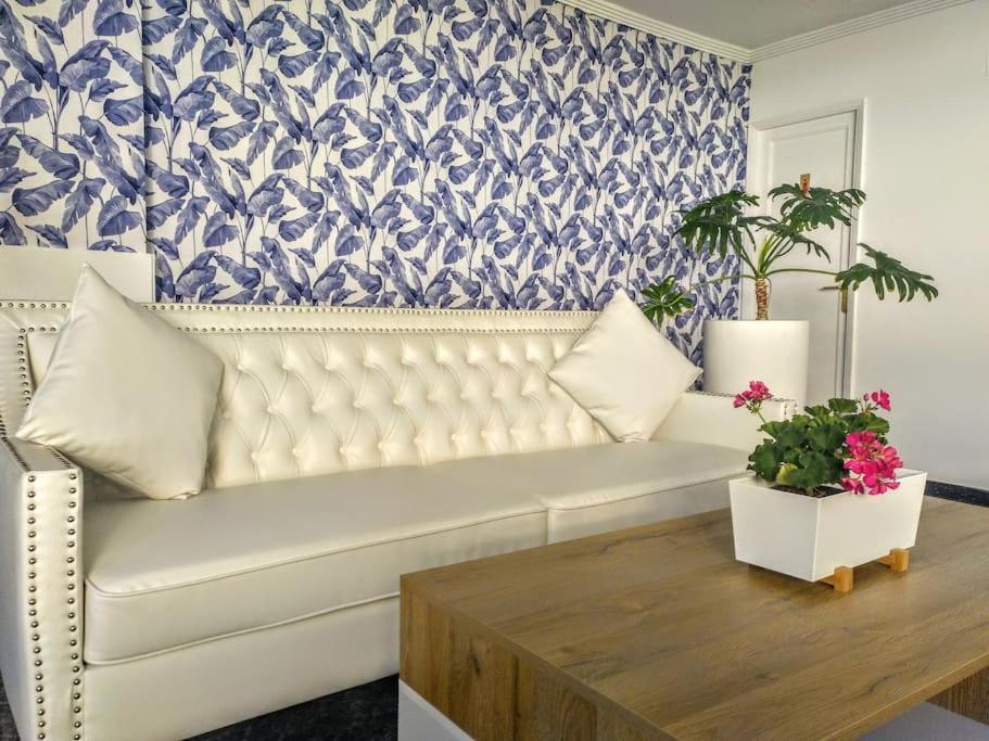 Camelias Q17 Apartment Maspalomas (Gran Canaria)