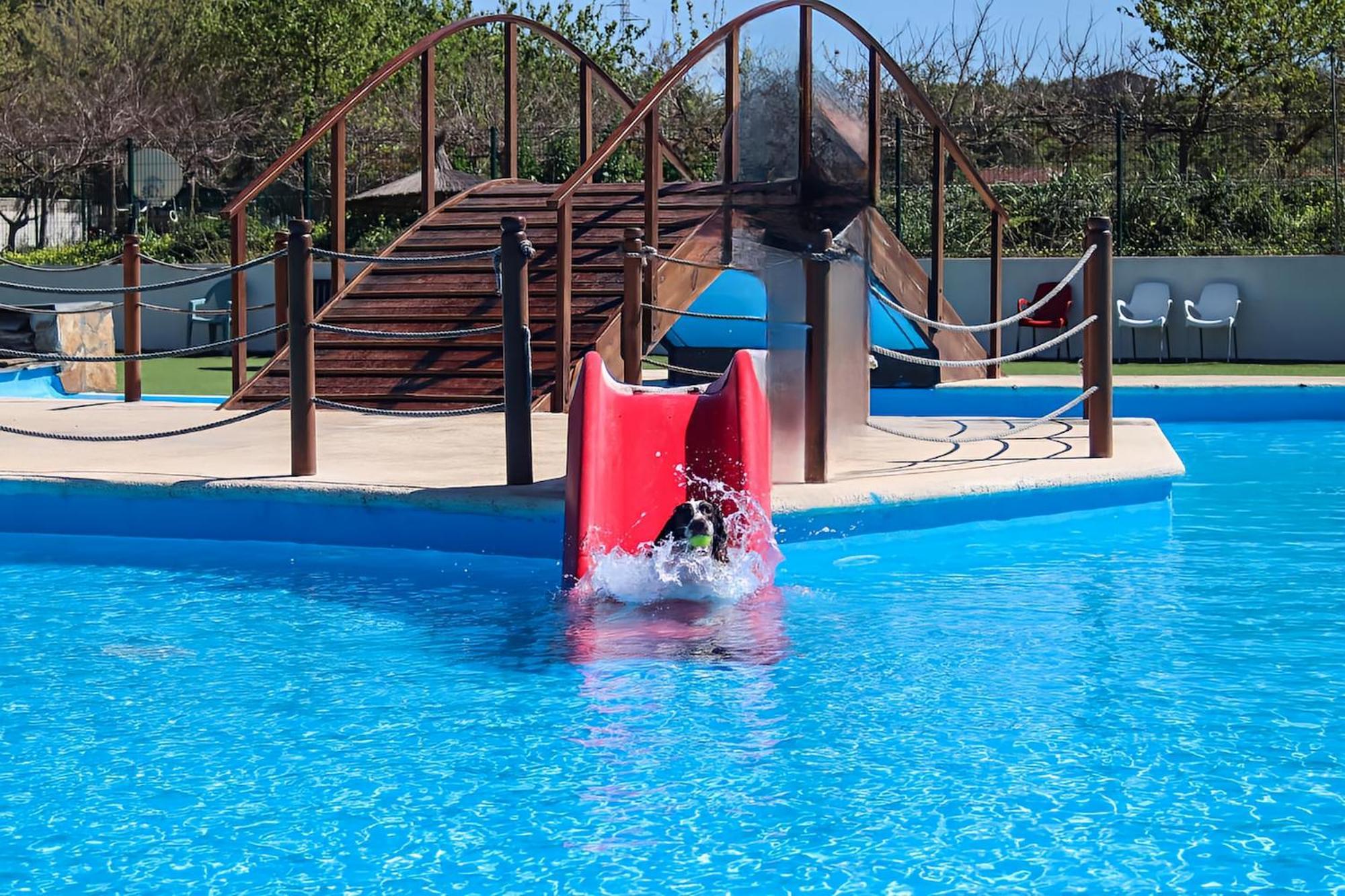 Bed and breakfast Lobos