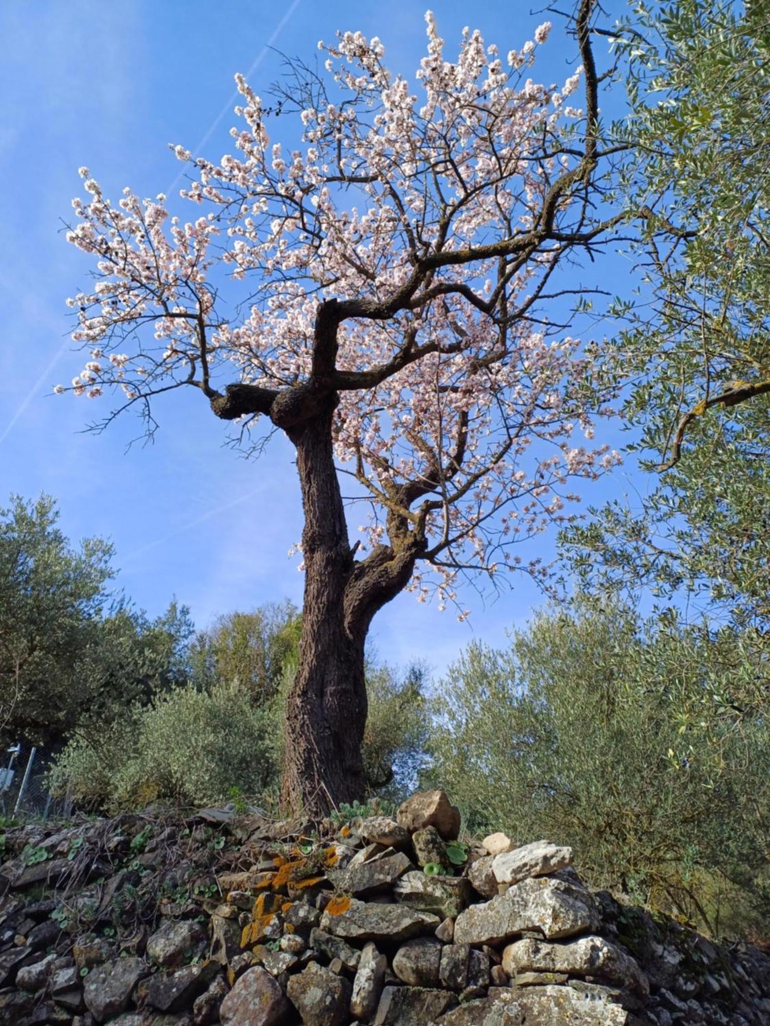 Holiday home Priorat Ca La Iolanda 
