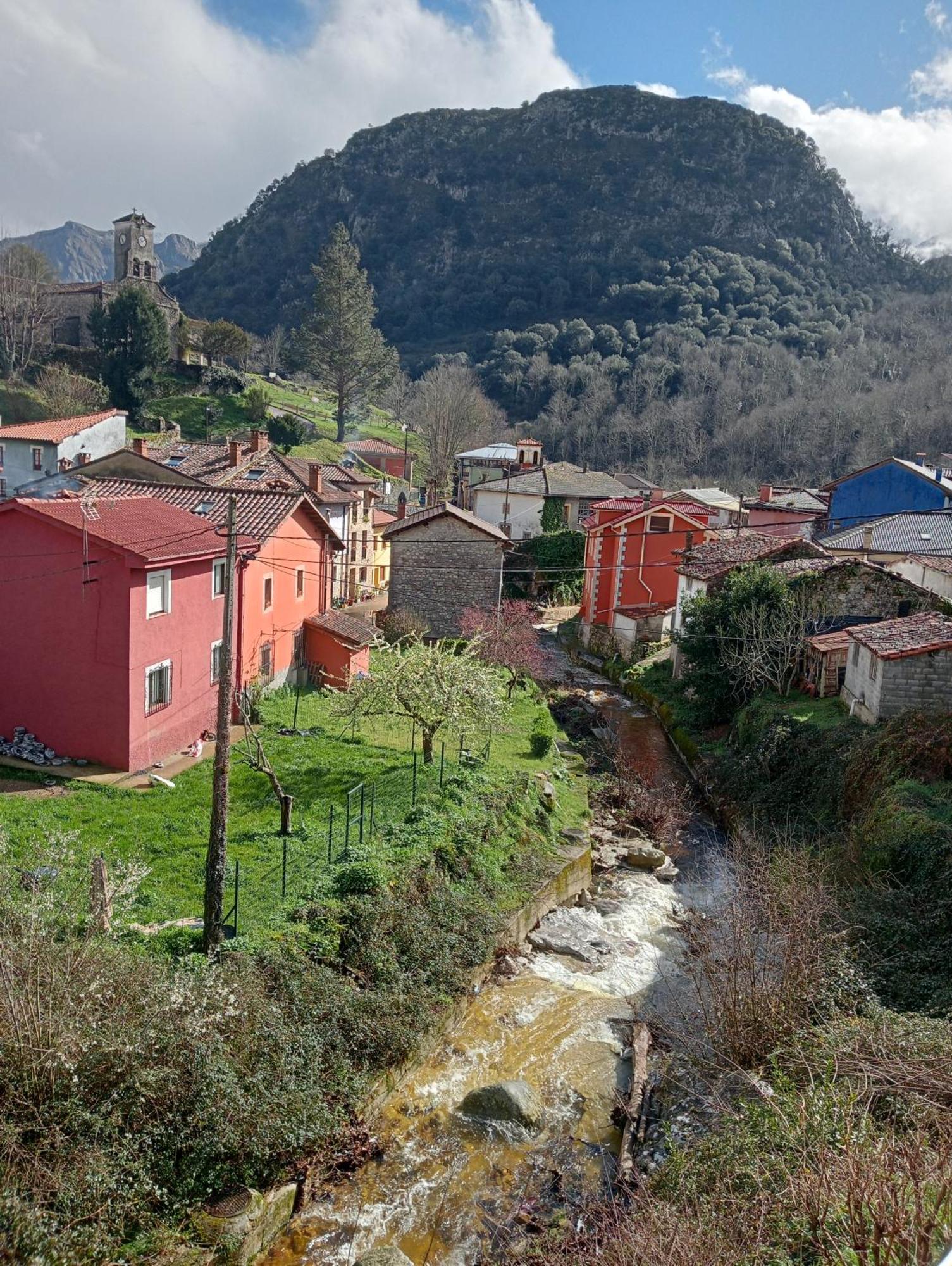 Cabrales Sol *