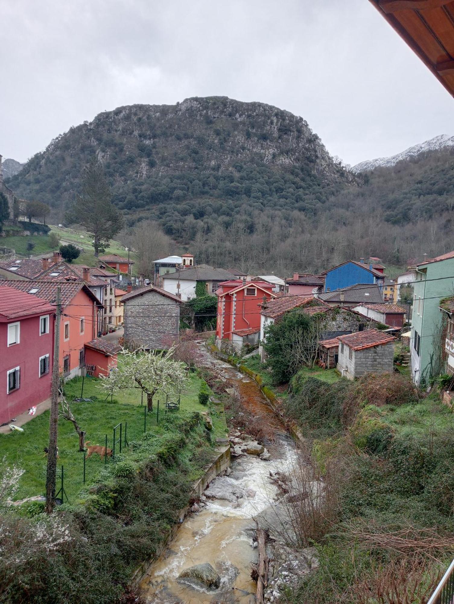 Cabrales Sol