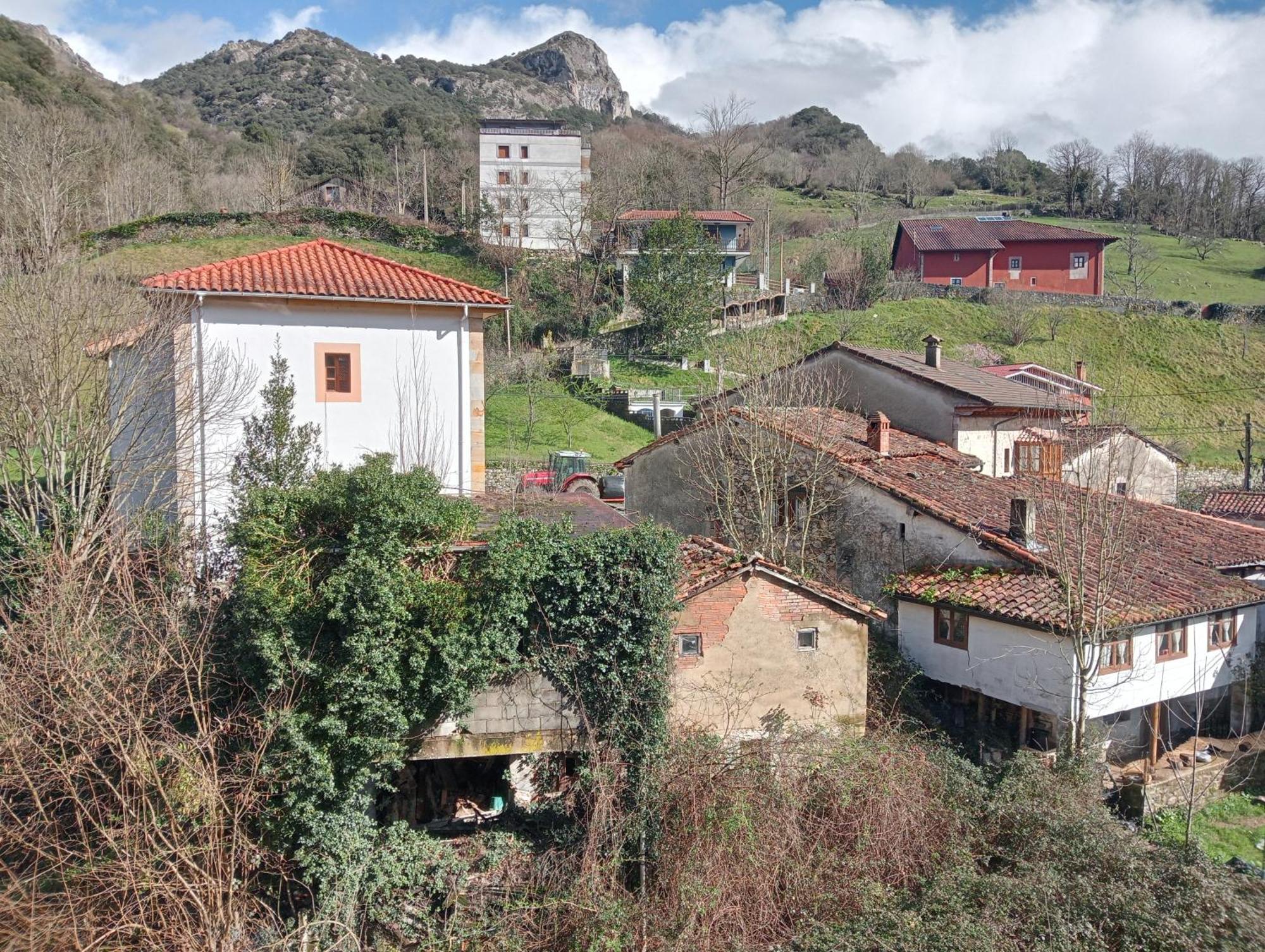 Cabrales Sol *