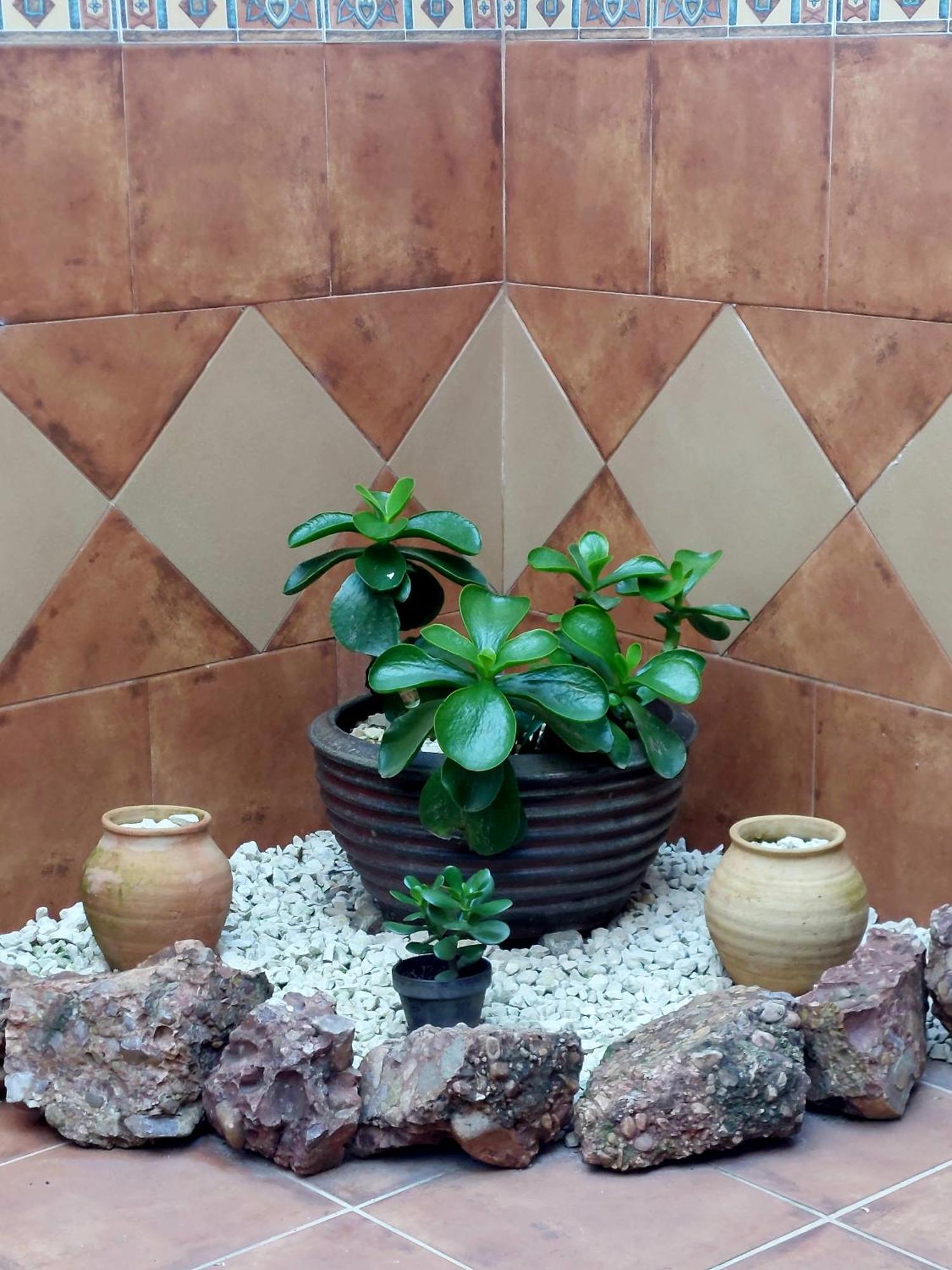 Apartamento La Plazuela, Casa Andaluza Con Patio.
