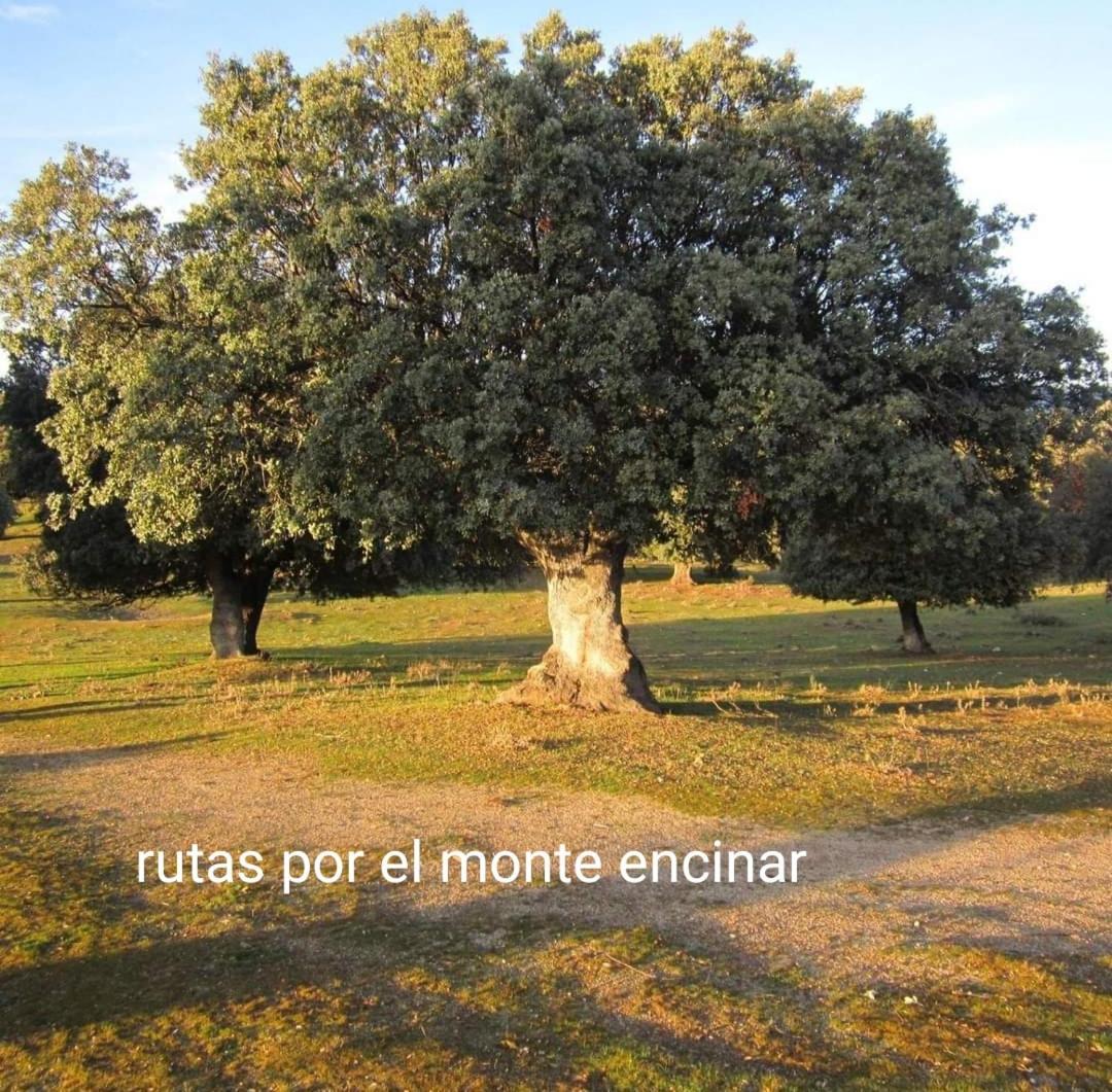 Pinara Сasa de vacaciones *
